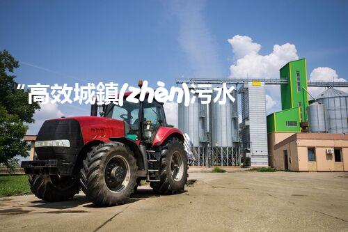 “高效城鎮(zhèn)污水處理流程，守護(hù)碧水藍(lán)天新篇章”